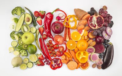 El despertar de la conciencia (II): del alimento a la conciencia